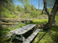 Spacious, private and peaceful 1st floor Apartment on Fly Creek - Wi-Fi