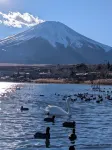 Reitoku Fuji Lakeside Villa - Mountain view