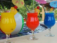 Hotel Delfin Playa Bejuco - Bar