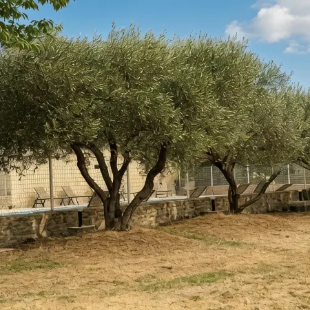 Uzès: “l'Olivier” Apartment in a Country House, 10-Minute Walk to Downtown—July Discount