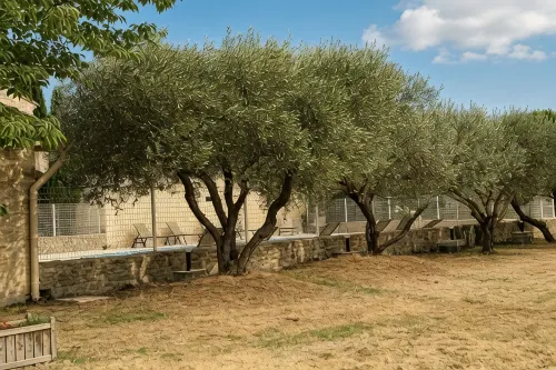 Uzès: “l'Olivier” Apartment in a Country House, 10-Minute Walk to Downtown—July Discount - 3-Star