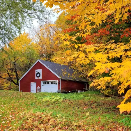 Edson Hill- 5 acres, Dogs/ Views/ Pond /Sledding/ Pingpong and Air hockey .