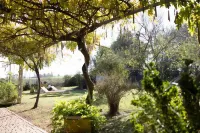 Acetaia Malagoli Daniele e B&B Hotel a Provincia di Modena