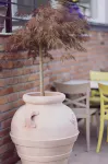 빌라 피아제타 - 3성급