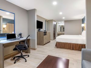 Best Western Plus Edinburg Inn  Suites