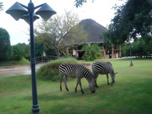 Kaazmein Lodge