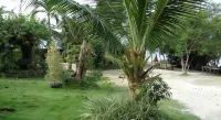 Sea Turtle House Moalboal