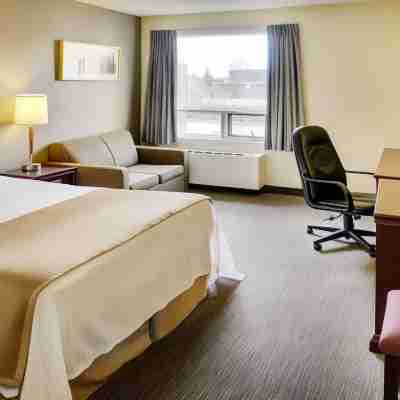 Quality Inn Rooms