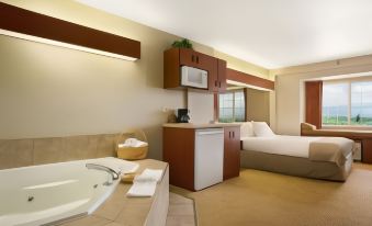 Microtel Inn & Suites by Wyndham Rapid City
