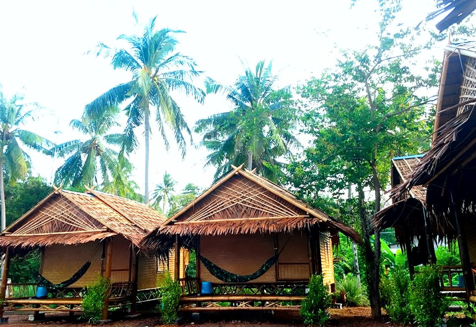 5. 오케이 차오꼬 ..