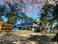 Matsunamiso