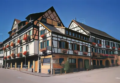 Hôtel A la Vignette - Colmar-Nord Hotels in Kintzheim