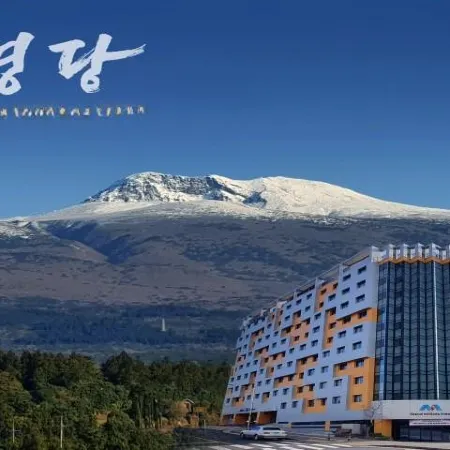 Grand Millions Hotel Seogwipo Отели рядом с достопримечательностью «Парк развлечений Seri World»
