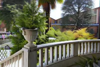 ปาเวีย อัฟฟิตตากาเมเร