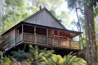 Lemonthyme Wilderness Retreat Hotels in Promised Land