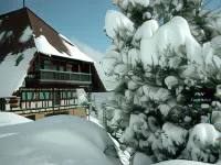 Hotel Hofgut Hohenkarpfen Hotels in Tuttlingen