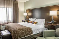 Staybridge Suites Jacksonville-Camp Lejeune Area Hotels in Jacksonville