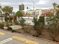 Beach Inn - موتيلات