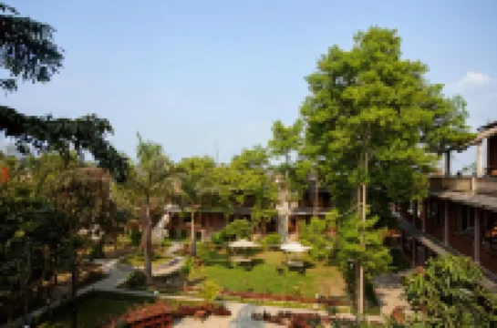 Jungle Safari Lodge- Serenity in the Wild