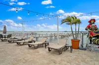 Gorgeous Oasis Retreat - Jacuzzi, Swimming Pool, Balcony Hotels in Dunedin