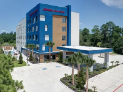 Hampton Inn & Suites by Hilton Shenandoah the Woodlands Hotels in Shenandoah