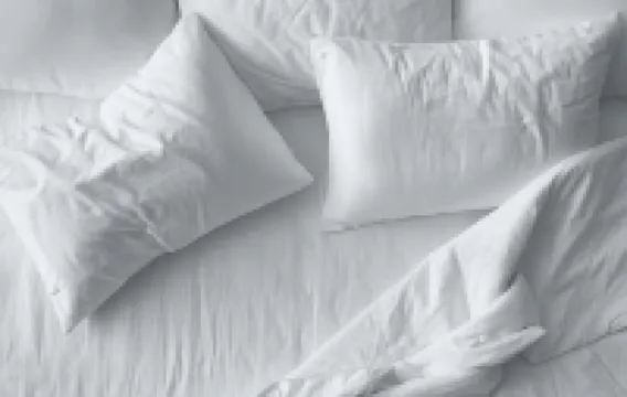 The Hollywood Grande, Autograph Collection