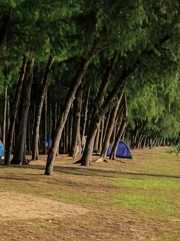 รูปภาพของพิลตัน รีสอร์ต