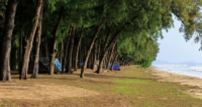 Pilton Resort