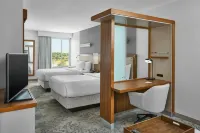 SpringHill Suites Lumberton