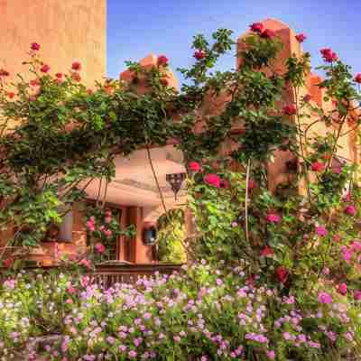 Domaine de la Roseraie Resort Hotel Exterior