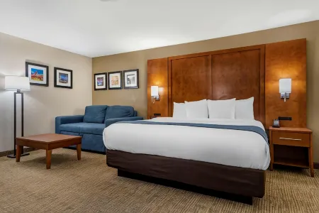 Comfort Inn Birmingham - Irondale Отели в г. Джефферсон