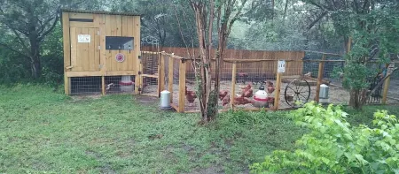 Rustic getaway on 3 acres - Only minutes from TEXS A&M University. Отели рядом с достопримечательностью «Лейк Брайан»