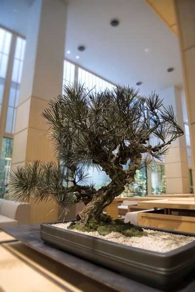 共有エリア ホテルセンレン京都 東山清水の写真