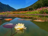 Yuanshe Hotel Hotels in Danba County