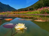 Yuanshe Hotel