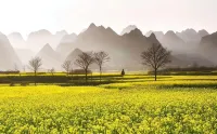 Fengsan Holiday Inn - Scenic