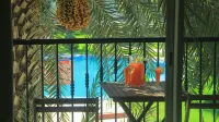 Luxury apartment in marina agadir - Homestays