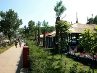 Hotel Queen Vera Hotels in Constanta