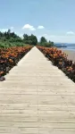 Fuxian Lake Excellence Inn (Moon Bay Wetland Park)