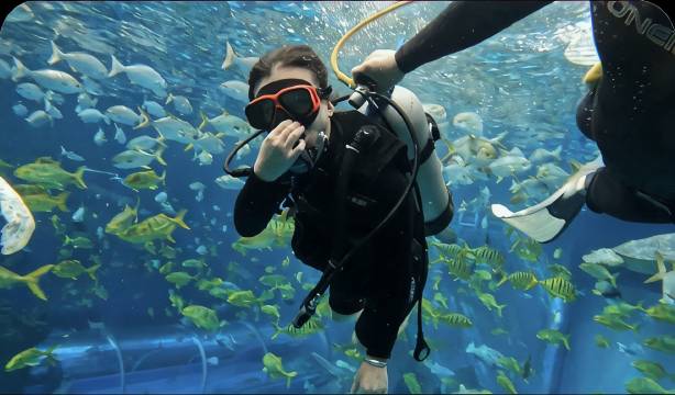 Diving with fish inside the oceanarium tank at Dali Ocean City