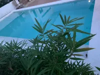 Terreza's Place - Swimmingpools