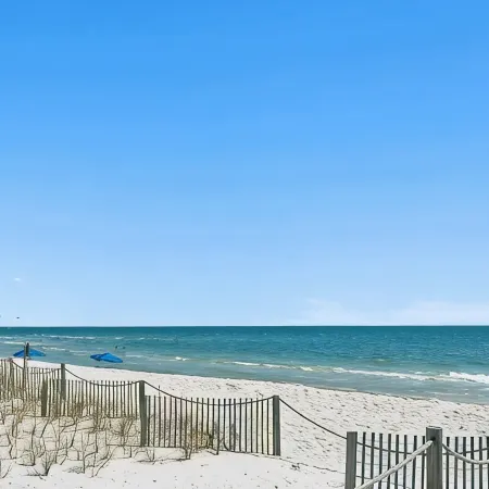 2B 2B Beach Views Best Eats Palmaway