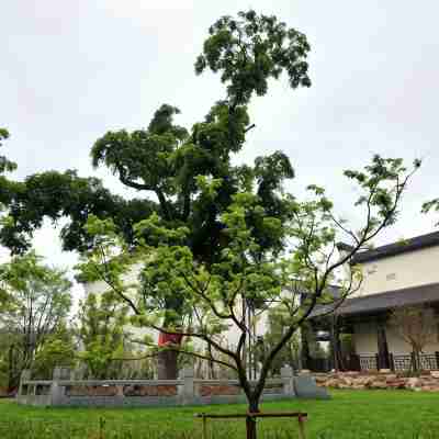 Nanhu Bailuyuan Hotel Hotel Exterior
