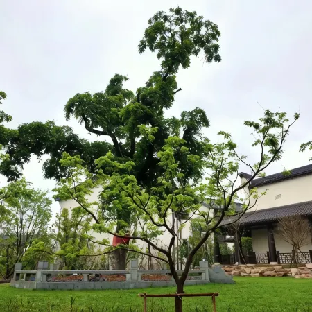 Nanhu Bailuyuan Hotel