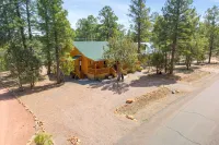 Charming 2-bedroom Cabin with WiFi, Wood Stove and AC in serene Heber-Overgaard! - Wifi