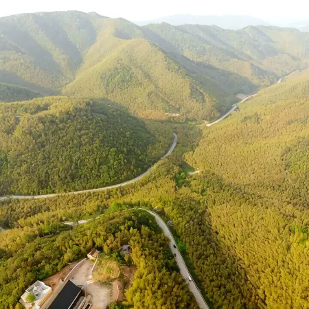 Jielu·Manshan Bamboo Sea Villa Holiday Homestay