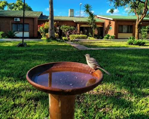 Sheila's Lodge Hotels in Lilongwe