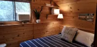 Amazing views of Lake Chelan! Unique "Treehouse" cabin with 2 bedrooms & 1 bath