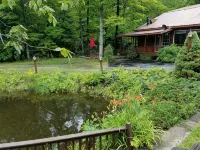 PET-FRIENDLY - Adirondack Retreat w/ Private Sandy Beach Close To Season Events - Homestays