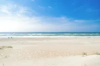 Oceanfront Updated 5BR Duplex. Dog friendly! - 3-Sterne